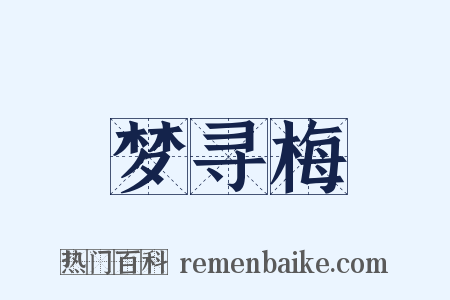 梦寻梅是什么意思的图片